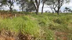 Foto 11 de Lote/Terreno à venda, 20000m² em Centro, São Gonçalo do Pará