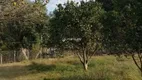 Foto 10 de Fazenda/Sítio com 4 Quartos à venda, 45000m² em Zona Rural, Pelotas
