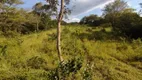 Foto 3 de Lote/Terreno à venda, 60000m² em Florestal, Florestal