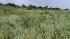 Foto 18 de Fazenda/Sítio com 3 Quartos à venda, 20000m² em Monte Alegre, Monte Alegre