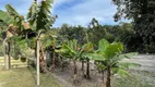 Foto 18 de Fazenda/Sítio com 3 Quartos à venda, 5000m² em Vila Darcy Penteado, São Roque