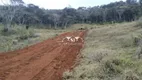 Foto 3 de Lote/Terreno à venda, 4100m² em Pedro do Rio, Petrópolis