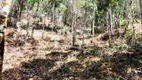 Foto 3 de Lote/Terreno à venda, 5000m² em Araras, Petrópolis