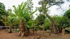 Foto 8 de Fazenda/Sítio com 3 Quartos à venda, 27000m² em Jardim Primavera 2 Etapa, Anápolis