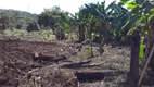 Foto 15 de Fazenda/Sítio com 2 Quartos à venda, 70m² em Zona Rural, Minaçu