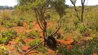 Foto 8 de Fazenda/Sítio à venda em Sobradinho, Brasília