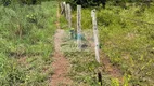 Foto 8 de Fazenda/Sítio com 3 Quartos à venda, 10m² em Setor Central, Barrolândia