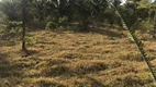 Foto 17 de Fazenda/Sítio com 4 Quartos à venda, 2070000m² em , Água Fria de Goiás