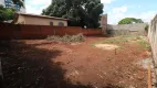 Foto 8 de Lote/Terreno para alugar, 360m² em Jardim Aclimação, Maringá