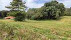 Foto 29 de Lote/Terreno à venda, 10000m² em Vila Delurdes, Campo Largo