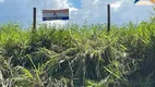 Foto 8 de Lote/Terreno à venda, 44983m² em Bicas, São Joaquim de Bicas