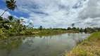 Foto 19 de Fazenda/Sítio com 3 Quartos à venda, 150000m² em Patane, 