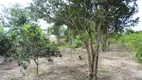 Foto 11 de Fazenda/Sítio com 1 Quarto à venda, 3000m² em Baía Formosa, Cabo Frio
