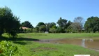 Foto 25 de Fazenda/Sítio à venda, 200m² em Centro, Reginópolis