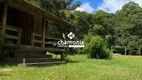 Foto 6 de Fazenda/Sítio com 3 Quartos à venda, 7785m² em Sao Gotardo, Flores da Cunha