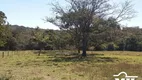 Foto 13 de Fazenda/Sítio à venda em Zona Rural, Edealina