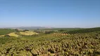 Foto 9 de Fazenda/Sítio à venda, 1730m² em Area Rural de Pouso Alegre, Pouso Alegre