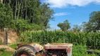 Foto 3 de Fazenda/Sítio com 2 Quartos à venda, 105000m² em , Garibaldi