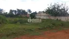 Foto 2 de Fazenda/Sítio à venda, 1000m² em Morada Nova, Uberlândia