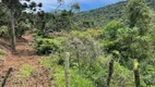 Foto 23 de Lote/Terreno à venda, 20000m² em Centro, Rio Rufino