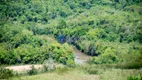 Foto 10 de Fazenda/Sítio com 1 Quarto à venda, 1150000m² em Zona Rural, Passa Tempo