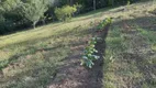 Foto 30 de Fazenda/Sítio com 3 Quartos à venda, 10m² em Centro, Taquara