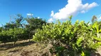 Foto 13 de Fazenda/Sítio com 2 Quartos à venda em Area Rural de Sao Sebastiao, Brasília