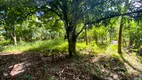 Foto 12 de Fazenda/Sítio à venda, 6000m² em Pirajuia, Jaguaripe