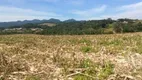 Foto 12 de Fazenda/Sítio com 1 Quarto à venda, 40000m² em Colônia Malhada, São José dos Pinhais