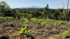 Foto 15 de Fazenda/Sítio à venda, 6300m² em Zona Rural, Tijucas do Sul