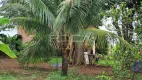 Foto 3 de Fazenda/Sítio com 1 Quarto à venda, 50m² em Rural, São Carlos