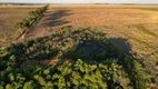 Foto 58 de Fazenda/Sítio com 5 Quartos à venda, 1400m² em Zona Rural, Alexânia