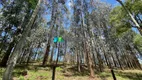 Foto 12 de Fazenda/Sítio com 4 Quartos à venda, 45m² em Zona Rural, Congonhas