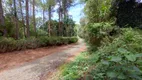 Foto 8 de Fazenda/Sítio à venda, 14800m² em , Matias Barbosa