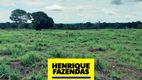 Foto 7 de Fazenda/Sítio com 2 Quartos à venda, 208000m² em Luzimangues, Porto Nacional