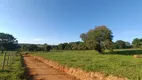 Foto 34 de Fazenda/Sítio com 3 Quartos à venda, 80m² em Zona Rural, Aragoiânia