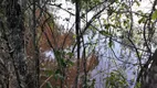 Foto 12 de Fazenda/Sítio com 3 Quartos à venda, 70000m² em Zona Rural, Conceição do Pará