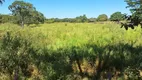 Foto 13 de Fazenda/Sítio à venda, 1147000m² em Zona Rural, Arinos