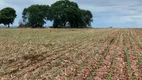 Foto 23 de Fazenda/Sítio com 2 Quartos à venda, 1765m² em Centro, Guia Lopes da Laguna