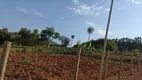 Foto 5 de Lote/Terreno à venda, 1400m² em Residencial Vista da Serra, Igarapé