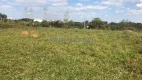 Foto 14 de Lote/Terreno para venda ou aluguel, 5000m² em Chácaras São Martinho, Campinas