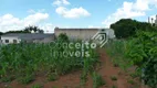 Foto 5 de Lote/Terreno à venda, 490m² em Piriquitos, Ponta Grossa