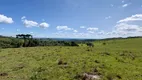 Foto 6 de Fazenda/Sítio com 1 Quarto à venda, 40000m² em Criúva, Caxias do Sul