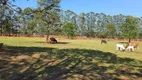 Foto 24 de Fazenda/Sítio com 3 Quartos à venda, 80m² em Area Rural de Tatui, Tatuí