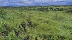 Foto 19 de Fazenda/Sítio com 3 Quartos à venda, 20000m² em Monte Alegre, Monte Alegre