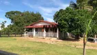 Foto 27 de Fazenda/Sítio à venda, 3049200m² em Centro, Araguapaz