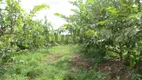 Foto 23 de Fazenda/Sítio com 3 Quartos à venda, 10m² em Macuco, Valinhos