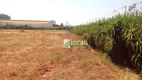 Foto 15 de Lote/Terreno para alugar, 24000m² em Vila Azul Zona Rural, São José do Rio Preto