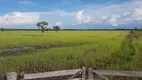 Foto 31 de Fazenda/Sítio à venda, 10m² em Zona Rural, Britânia