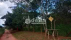 Foto 28 de Fazenda/Sítio com 3 Quartos à venda, 250m² em Area Rural de Uberlandia, Uberlândia